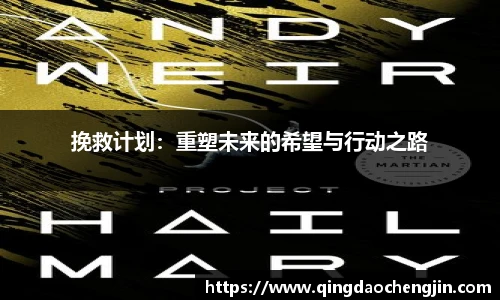 挽救计划：重塑未来的希望与行动之路